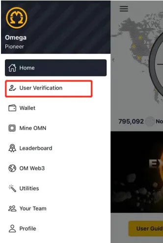 Omega Network KYC Process