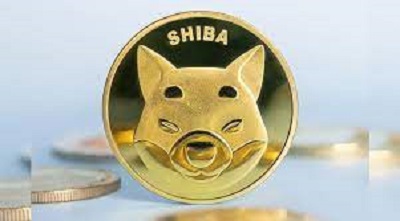 Shiba Inu Alternatives